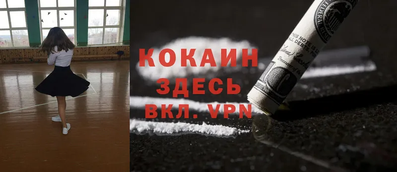 Cocaine Fish Scale Ленинск-Кузнецкий