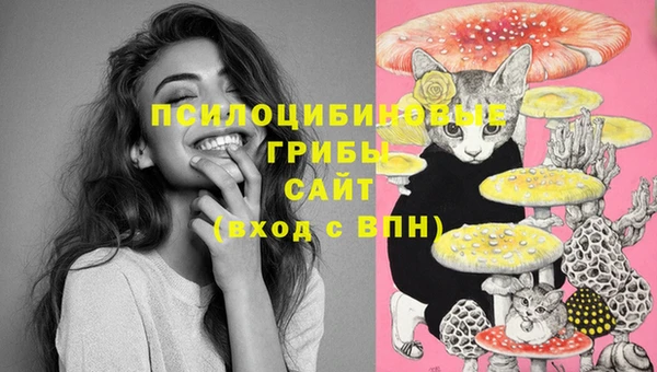 гидра Майский