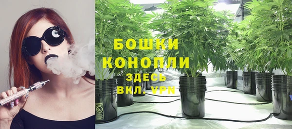 гидра Майский
