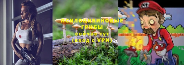 гидра Майский