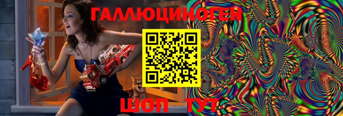 Ленинск-Кузнецкий  Галлюциногенные грибы Cubensis  Вход с VPN 