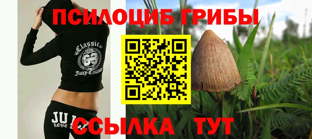 Псилоцибиновые грибы прущие грибы Ленинск-Кузнецкий